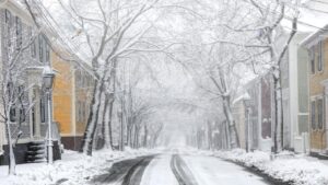 Dimostra la tua intelligenza scoprendo rapidamente cosa c’è che non va nella foto di questo bellissimo paesaggio innevato