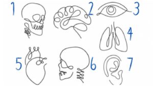 Test della personalità: scegliete uno dei disegni e scoprite come vi comportate con i vostri cari