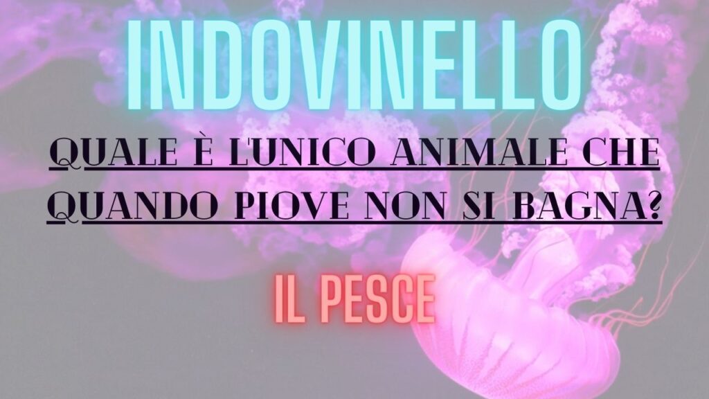 indovinello del giorno soluzione