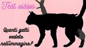 Test visivo: quanti gatti vedete nell’immagine? Il risultato vi svelerà la vostra età mentale