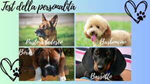 Test della personalità: quale tra queste razze di cane amate di più? La risposta vi svelerà dei segreti sulla vostra psiche