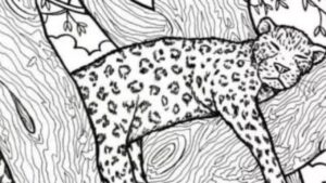 Sfida visiva: trova il pesce nell’immagine del leopardo in 10 secondi e dimostra di essere un genio