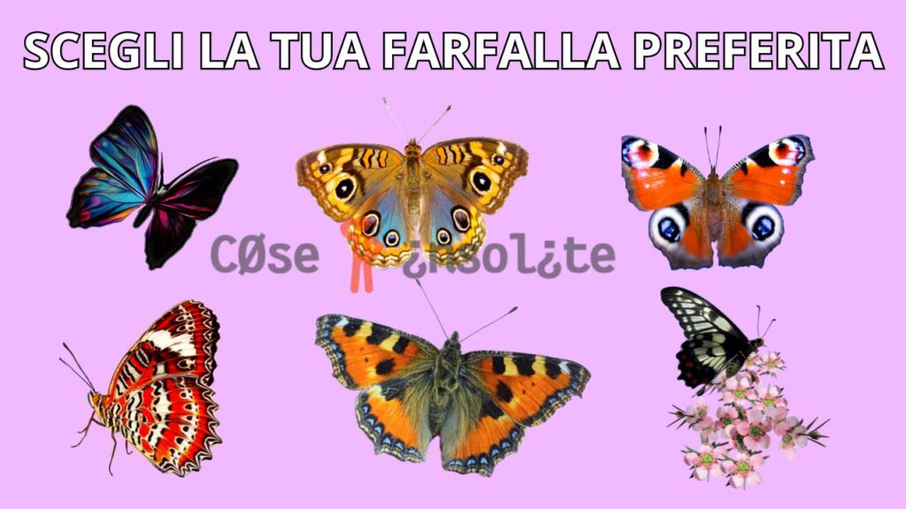 scegli la farfalla