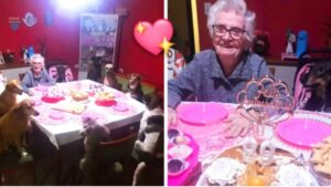 Nonna Maria compie 89 anni e i suoi cani le organizzano una festa indimenticabile