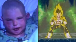 Bambino sopravvive a un attacco massiccio di api grazie alla “tecnica di Vegeta”