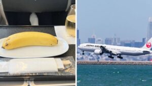 In volo un passeggero riceve come menù vegano solo una banana