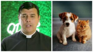 Sacerdote invita i fedeli a non amare gli animali più delle persone