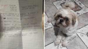 Tassista scopre che uno dei suoi passeggeri ha lasciato il cane nella sua auto, la reazione dell’uomo è stupenda