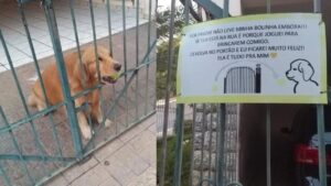 Un cartello per strada chiede ai passanti di “non portare via la pallina” al cagnolino