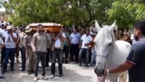 Questo cavallo ha una reazione davvero commovente al momento di dire addio al suo padrone (VIDEO)