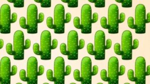 Indovinello visivo: trova il cactus diverso in soli 6 secondi