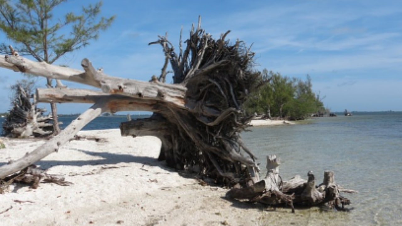 L'isola deserta che ha accolto i sei adolescenti